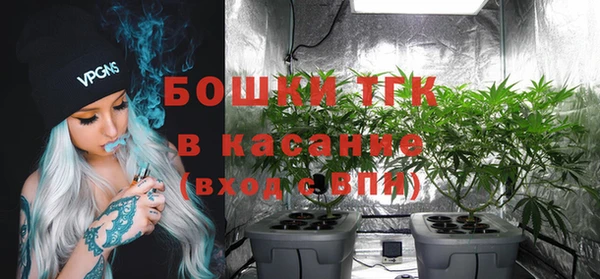 мяу мяу мука Арсеньев