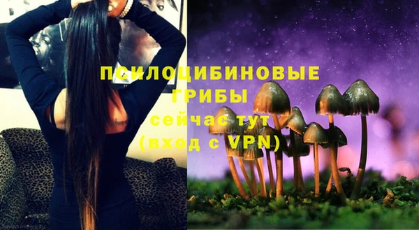 мяу мяу мука Арсеньев
